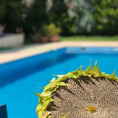 Vila Calis Beach Holiday With Private Pool Fethiye